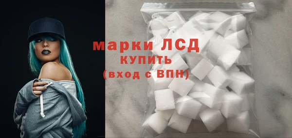 PSILOCYBIN Липки