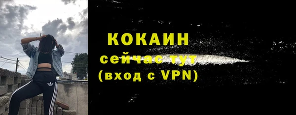 PSILOCYBIN Липки